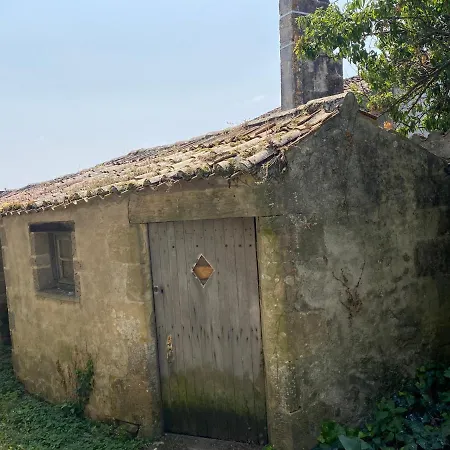 Des Hirondelles Saint-Hilaire-des-Loges