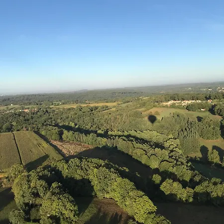Des Hirondelles