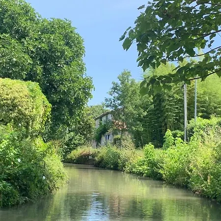 Des Hirondelles